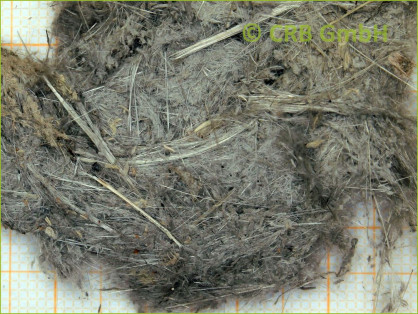 Análisis de amianto de relleno de lana, compuestos de relleno y amianto inyectable