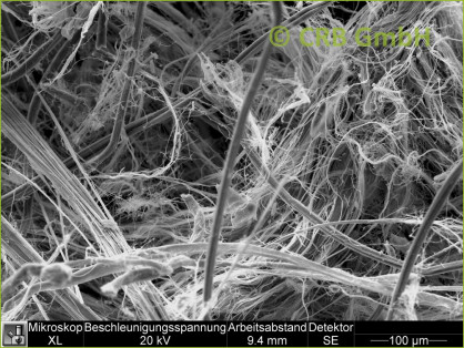 Analyse van asbest in platte afdichtingen, ringen Scanning elektronenmicroscopische opname van chrysotiel - asbest