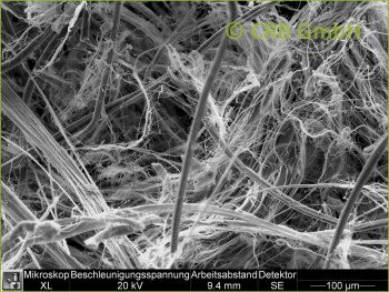SEM-picture of chrysotile asbestos in flat gaskets, grommets