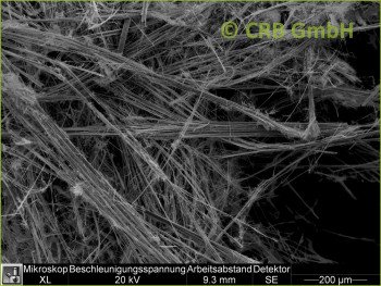 SEM-picture of amphibole asbestos, amosite in sprayed asbestos, loose fill asbestos fibres