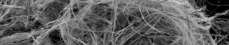 Case studies asbestos analysis