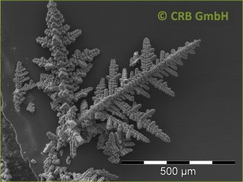 Dendrites from iron-manganese oxides