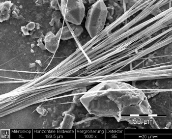 Amphibole asbestos, tremolite in plaster - standard resolution: 654 X 522 px / file size approx. 0,35 MB