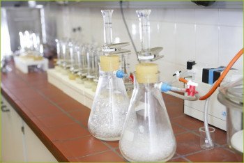 CRB GmbH | Sample preparation of asphalt for asbestos analysis 2