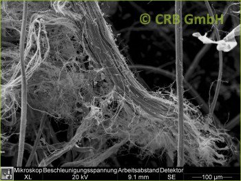 SEM-picture of chrysotile asbestos in Promabest