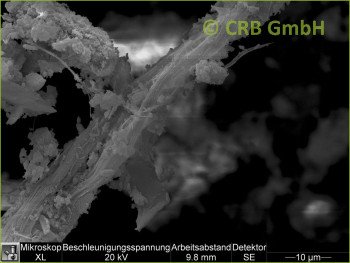 SEM-picture of chrysotile asbestos in magnesite-floor, xylolite