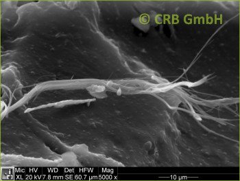 SEM-picture of chrysotile asbestos in brown-black bituminous glues