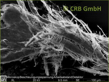 SEM-picture of chrysotile asbestos in asbestos bearing sealing masses