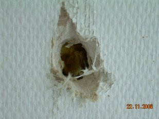 Asbesthaus - Fundstelle: Putz und Spachtelmassen, Gipskartonspachtel | © 2019, CRB Analyse Service GmbH | © CRB Analyse Service GmbH