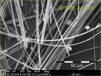 SEM-picture of amphibole asbestos, amosite in asbestos-cement, fibrous cement